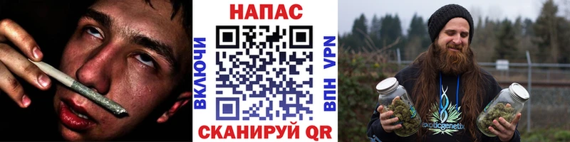 МАРИХУАНА сатива  Купить закладки  Костерёво 